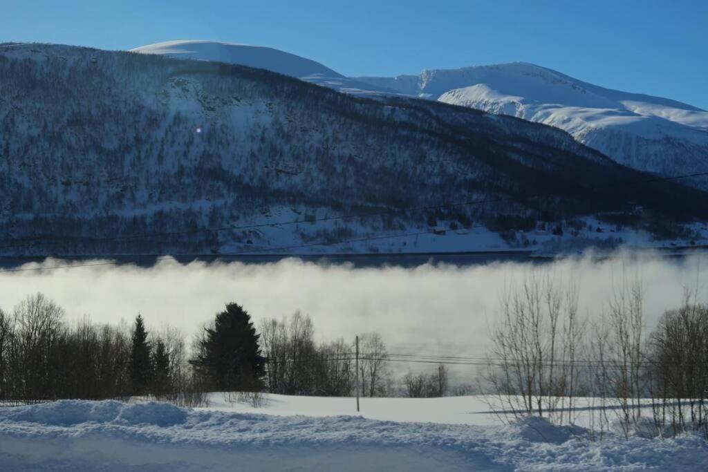 New Magnificent View Apartment Near The Centre Tromsø Kültér fotó